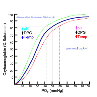 Azioni della Carbossiterapia - Effetto Bohr