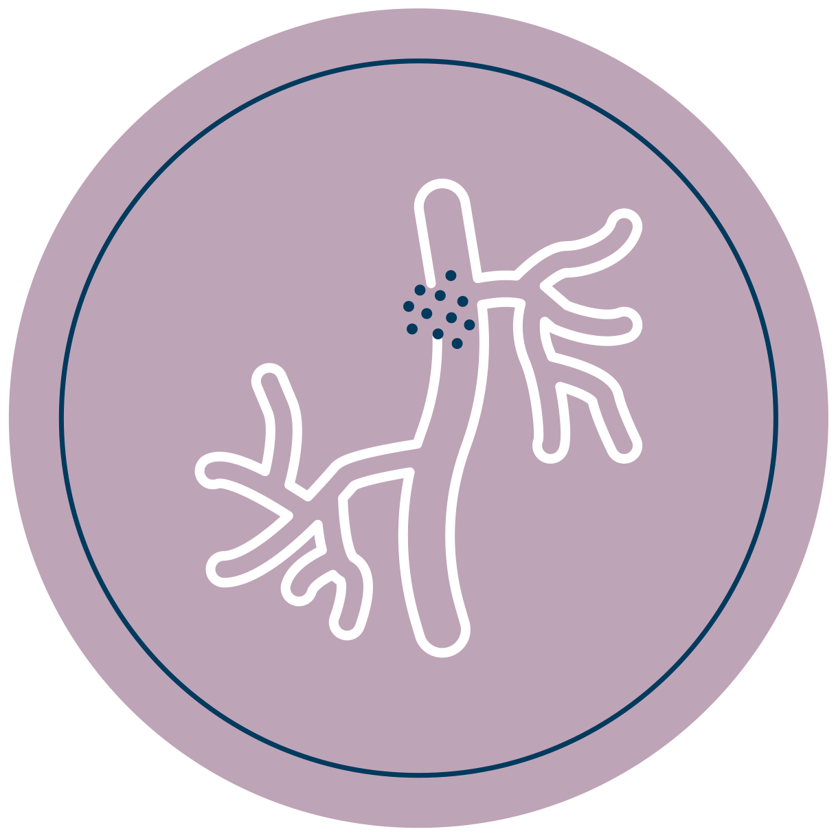 Artery capillaries icon - Venusian CO2 carboxytherapy phlebology protocol