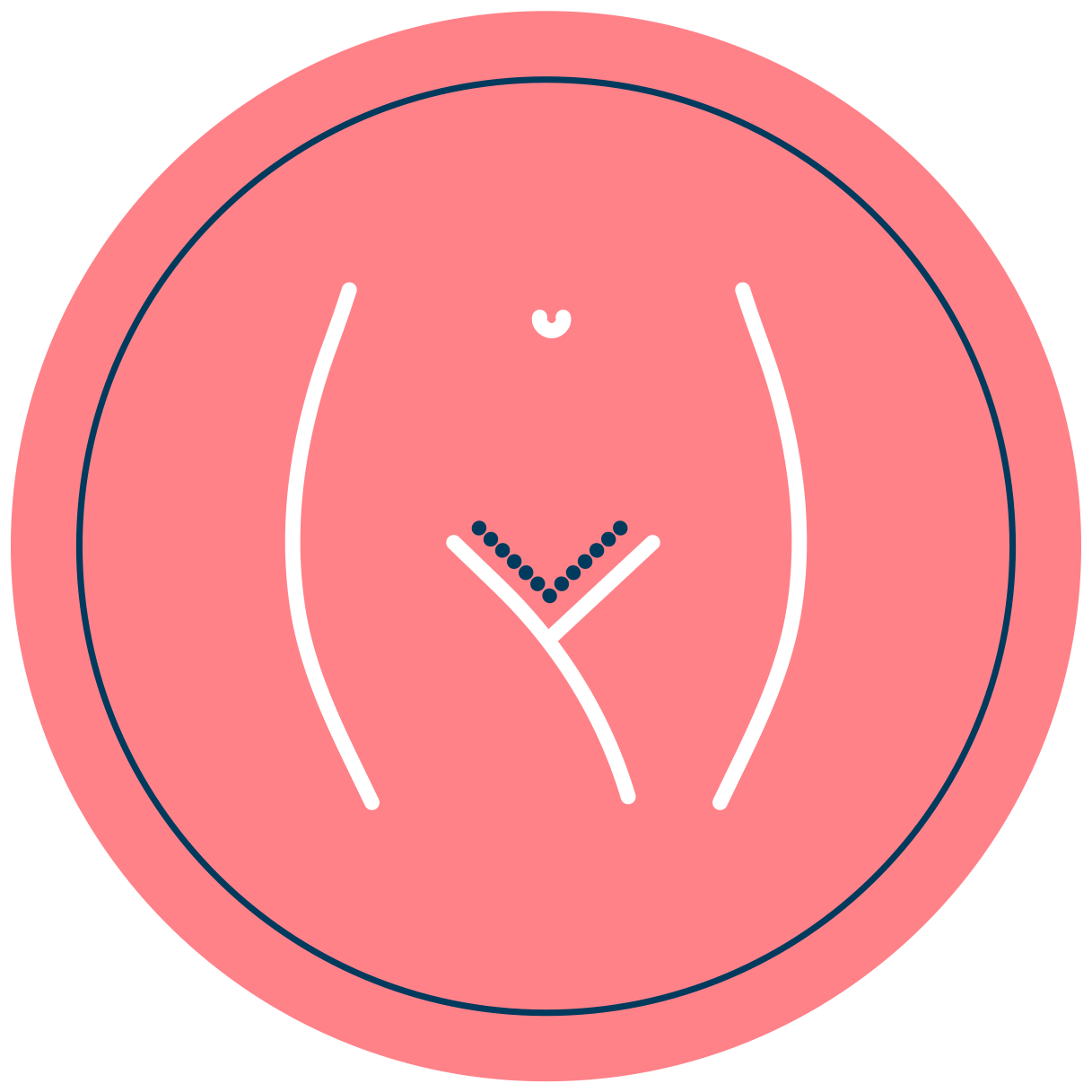 Female genital icon - Venusian CO2 carboxytherapy aesthetic gynaecology protocol