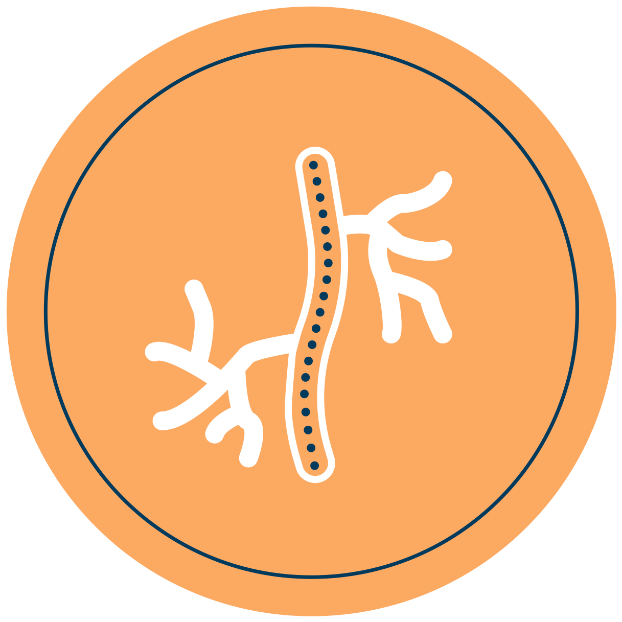 Artery and capillaries icon - Venusian CO2 carboxytherapy vascular therapy protocol